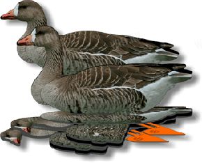 Комплект Чучел Гусь Белолобый NRA FUD Greylag (6шт) США