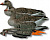 Комплект Чучел Гусь Белолобый NRA FUD Greylag (6шт) США