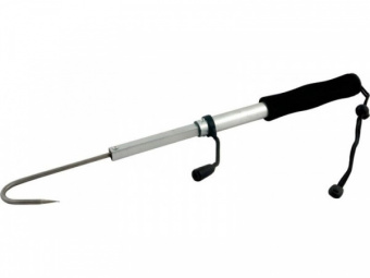 v-org-bta60-%09800x600